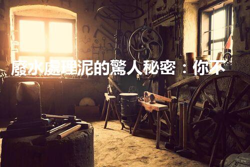廢水處理泥的驚人秘密：你不明白的環(huán)保新突破！